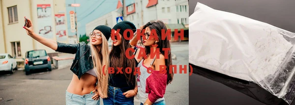 тгк Нея