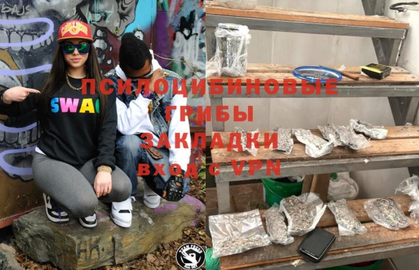 тгк Нея