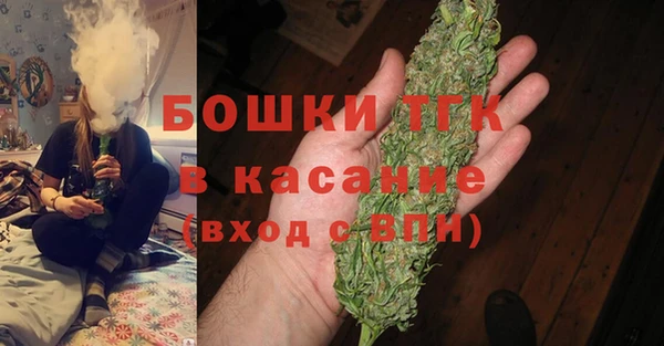 тгк Нея