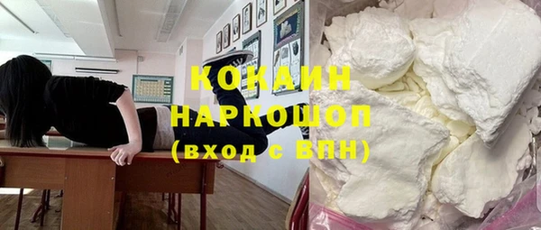 тгк Нея
