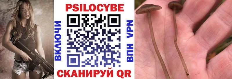 Галлюциногенные грибы Psilocybine cubensis Бугуруслан