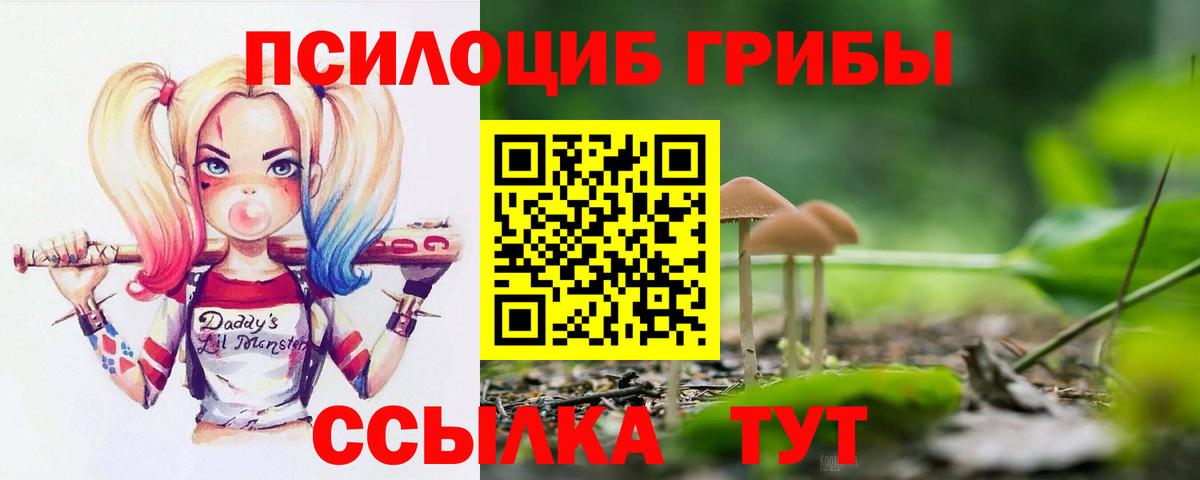 Псилоцибиновые грибы прущие грибы Бугуруслан