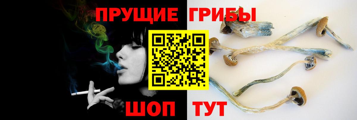Псилоцибиновые грибы Psilocybe  Псилоцибиновые грибы Psilocybine cubensis  Бугуруслан  Вход с VPN 